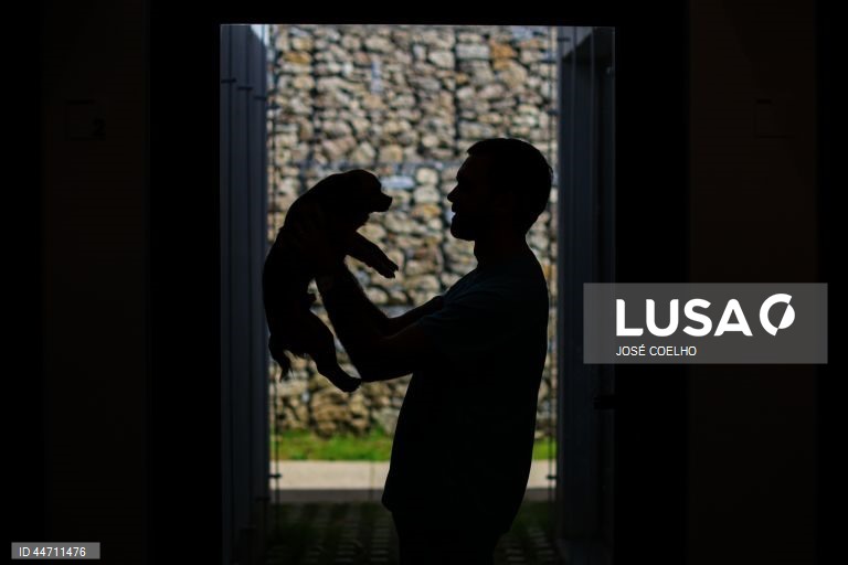 Silhueta de Mário Ribeiro, médico veterinário, que cuida de animais na Plataforma de Acolhimento e Tratamento Animal (PATA), em Avintes, Vila Nova de Gaia, 03 de abril de 2025. O canil faz o balanço dos quatro anos do projeto, apelo à adoção consciente, alertas sobre os abandonos no verão. (ACOMPANHA TEXTO DA LUSA DO DIA 10 DE ABRIL DE 2025). JOSÉ COELHO/LUSA
