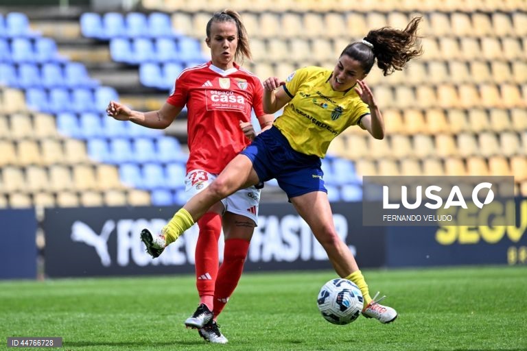 A jogadora do Valadares Gaia Érica Ventura (D), disputa a bola com a jogadora do Benfica Anna Gasper, durante o jogo da 20.ª jornada fa I Liga de futebol feminino realizado no estádio Dr. Jorge Sampaio, em Vila Nova de Gaia, 12 de abril de 2025. FERNANDO VELUDO/LUSA