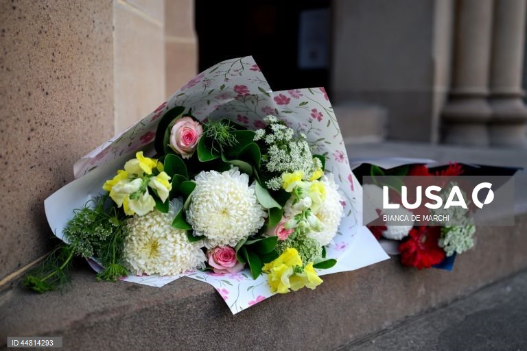 Homenagens ao Papa Francisco