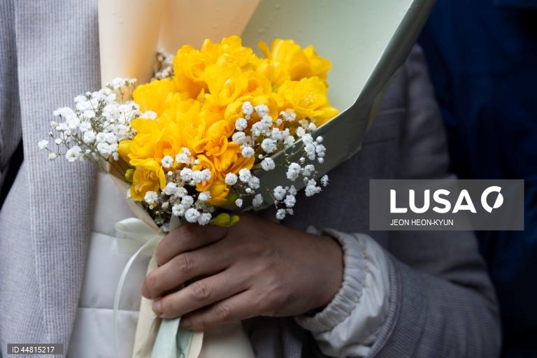 Homenagens ao Papa Francisco