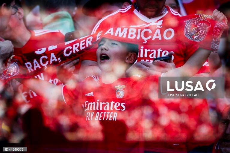 I Liga: Benfica vs AVS