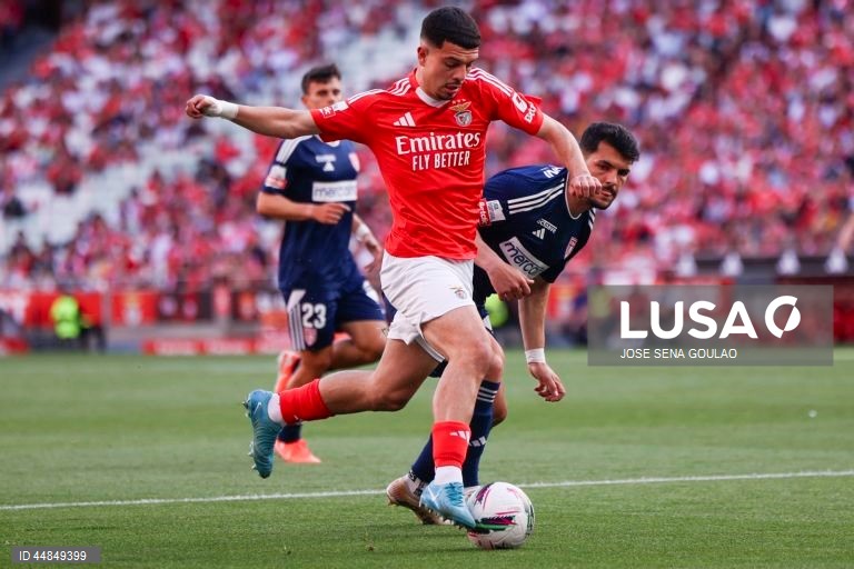 I Liga: Benfica vs AVS