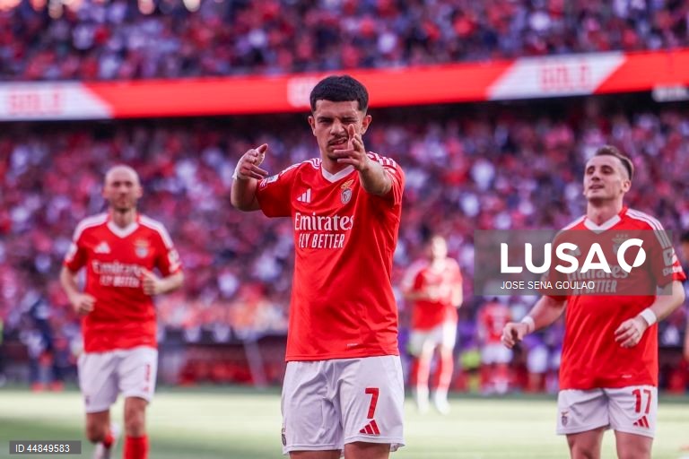 I Liga: Benfica vs AVS