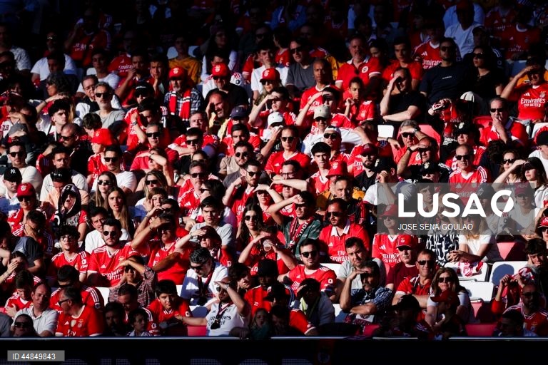 I Liga: Benfica vs AVS