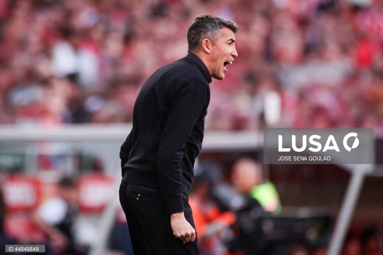 I Liga: Benfica vs AVS