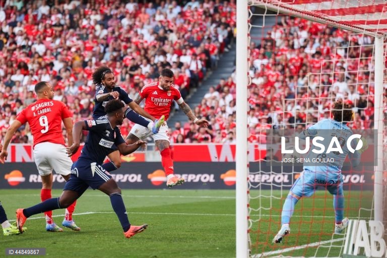 I Liga: Benfica vs AVS