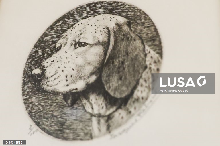 Paris: Museu canino Centrale