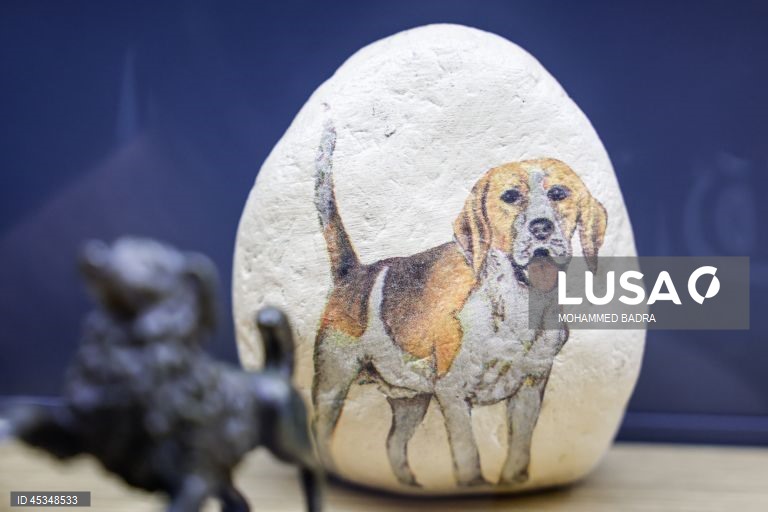 Paris: Museu canino Centrale