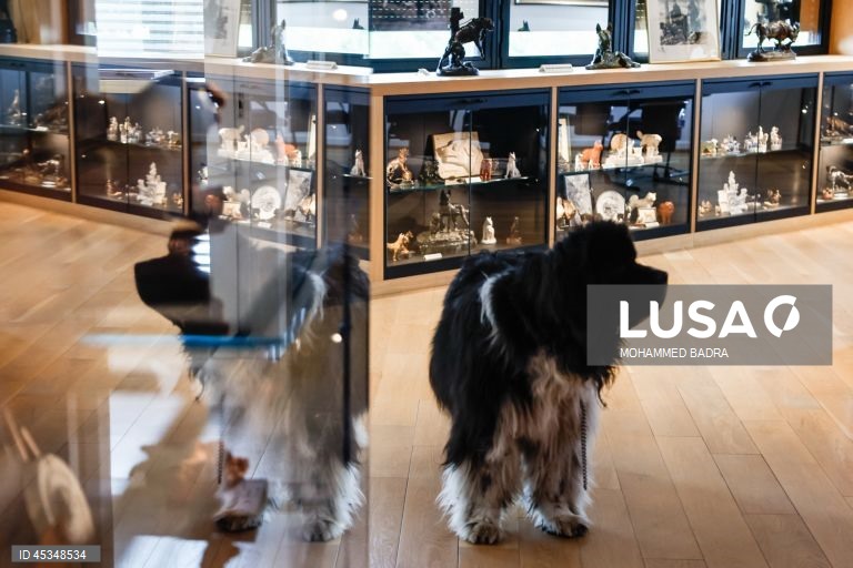 Paris: Museu canino Centrale