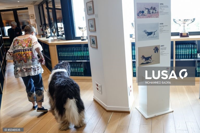 Paris: Museu canino Centrale