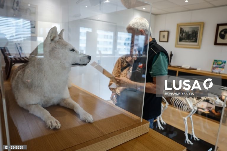 Paris: Museu canino Centrale