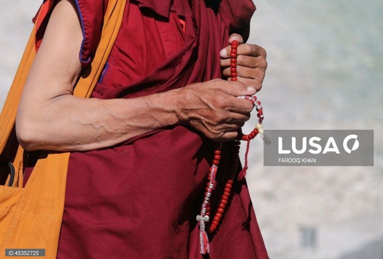 Índia: Visita do Dalai Lama ao mosteiro de Zanaskar adiada devido ao mau tempo.