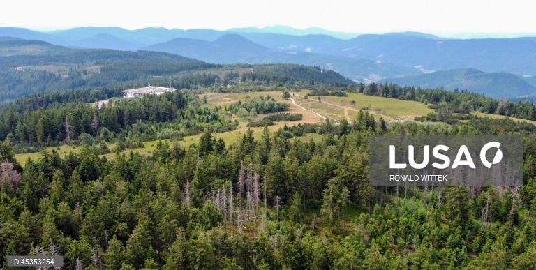 Alemanha: Tempo de verão na Floresta Negra do Norte