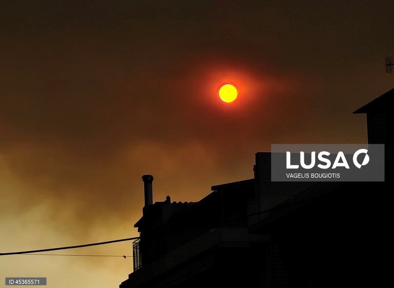 Grécia: Incêndio florestal em Feneos, Corinto