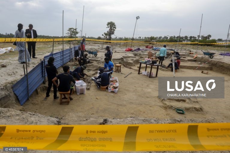 Valas comuns no Sri Lanka