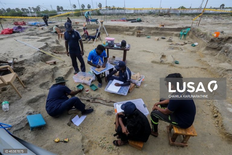 Valas comuns no Sri Lanka