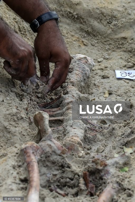 Valas comuns no Sri Lanka