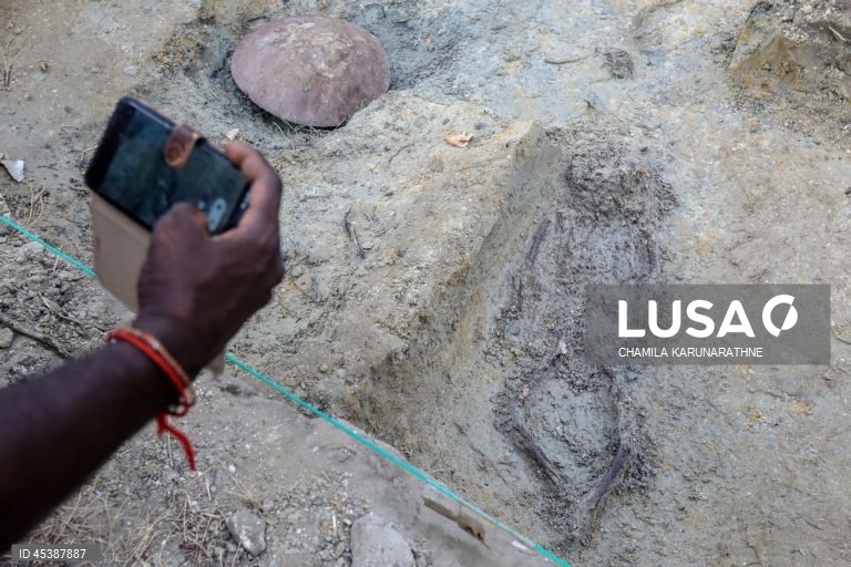 Valas comuns no Sri Lanka