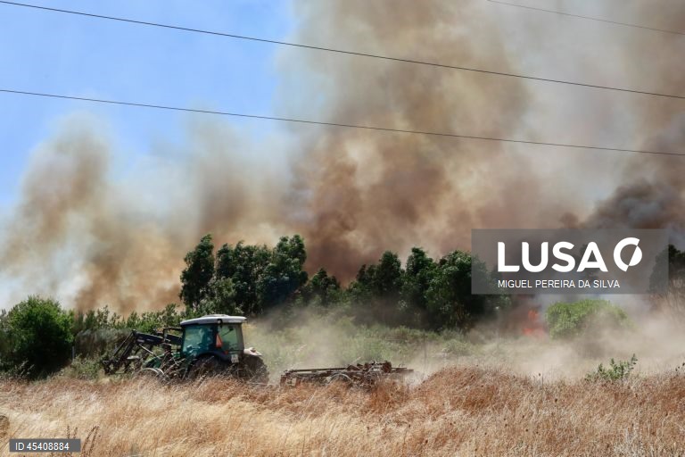 Um trator limpa um terreno durante o combate a um incêndio na aldeia de Lapa de Tourais, Seia, 30 de julho de 2025. Este incêndio que deflagrou no concelho de Seia, distrito da Guarda, está a ser combatido por 180 operacionais, 54 viaturas e três meios aéreos. MIGUEL PEREIRA DA SILVA/LUSA