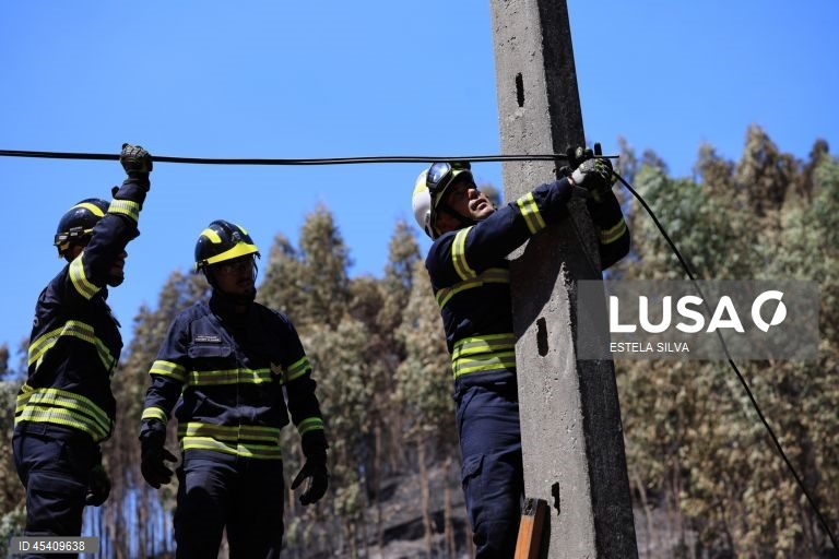 Bombeiros da corporação dos Sapadores do Porto removem cabos de comunicações que estavam a impedir a passagem de carros próximo do lugar de Ribeiro Grande, devido ao incêndio que lavra em Arouca desde segunda-feira, Arouca, 30 de Julho de 2025. ESTELA SILVA/LUSA