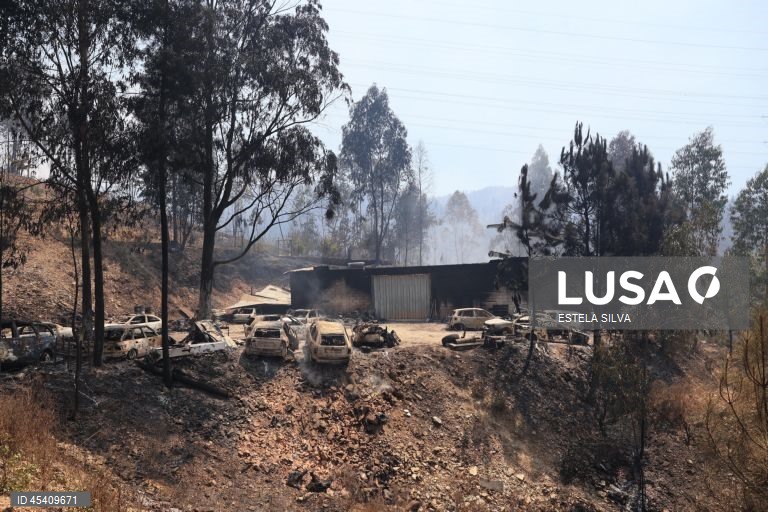Carros danificados pelo incêndio que começou em Arouca na segunda-feira, numa sucata no lugar de Seixo, em Castelo de Paiva, 30 de Julho de 2025. ESTELA SILVA/LUSA