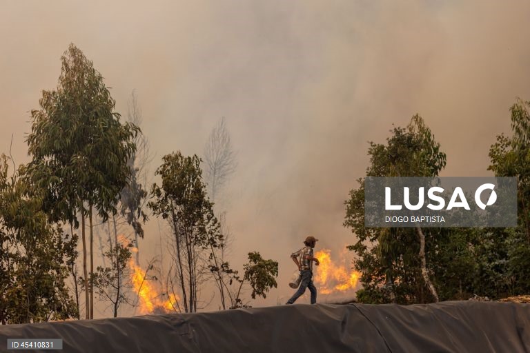 Bombeiros combatem um incêndio florestal em Melres, Gondomar, Porto, 30 de julho 2025. As povoações de Montezelo e Altocentro, em Melres, concelho de Gondomar, estão ameaçadas pelas chamas do incêndio que começou na terça-feira em Penafiel, revelou à Lusa fonte dos bombeiros de Melres e segundo o ‘site’ da Autoridade Nacional de Emergência e Proteção Civil (ANEPC), pelas 14:55 este incêndio no distrito do Porto estava a ser combatido por 178 operacionais, apoiados por 47 viaturas e três meios...