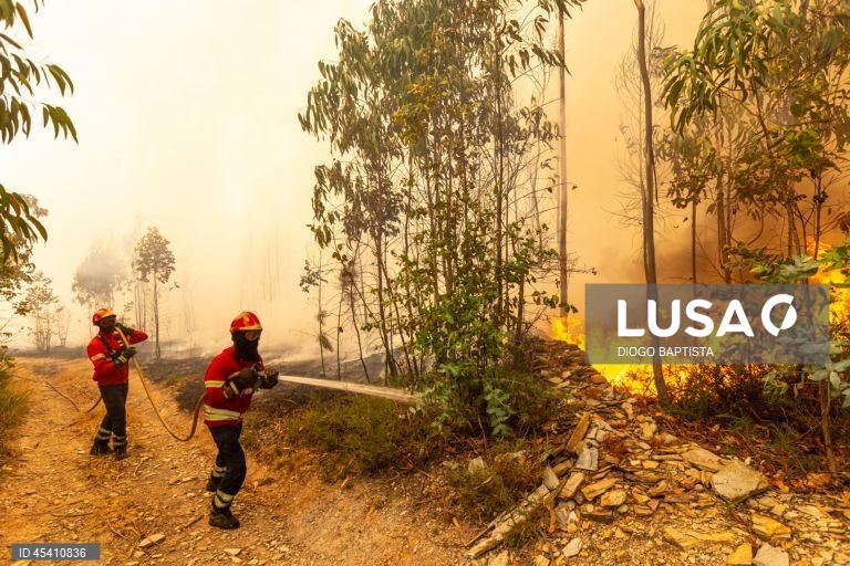 Bombeiros combatem um incêndio florestal em Melres, Gondomar, Porto, 30 de julho 2025. As povoações de Montezelo e Altocentro, em Melres, concelho de Gondomar, estão ameaçadas pelas chamas do incêndio que começou na terça-feira em Penafiel, revelou à Lusa fonte dos bombeiros de Melres e segundo o ‘site’ da Autoridade Nacional de Emergência e Proteção Civil (ANEPC), pelas 14:55 este incêndio no distrito do Porto estava a ser combatido por 178 operacionais, apoiados por 47 viaturas e três meios...
