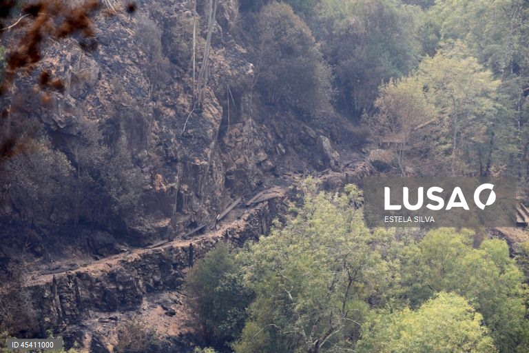 Passadiços do Paiva, na freguesia de Espiunca, destruídos pelo incêndio que lavra desde segunda feira, em Arouca, 30 de Julho de 2025. No ano passado, um incêndio já tinha destruído parte dos passadiços, e só voltaram a abrir em abril deste ano, sendo uma das mais importantes infraestruturas turísticas do concelho atraindo milhares de visitantes todos os anos. ESTELA SILVA/LUSA