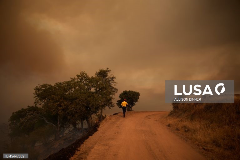 EUA: O incêndio de Gifford torna-se o maior incêndio florestal da Califórnia em 2025
