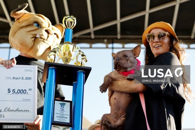 Concurso do cão mais feio do mundo realizado na Califórnia