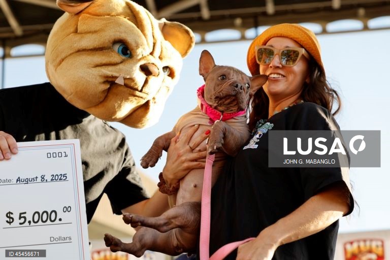 Concurso do cão mais feio do mundo realizado na Califórnia