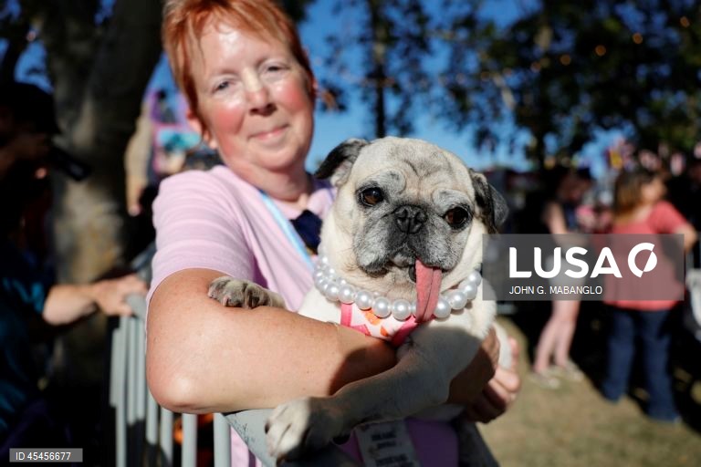 Concurso do cão mais feio do mundo realizado na Califórnia