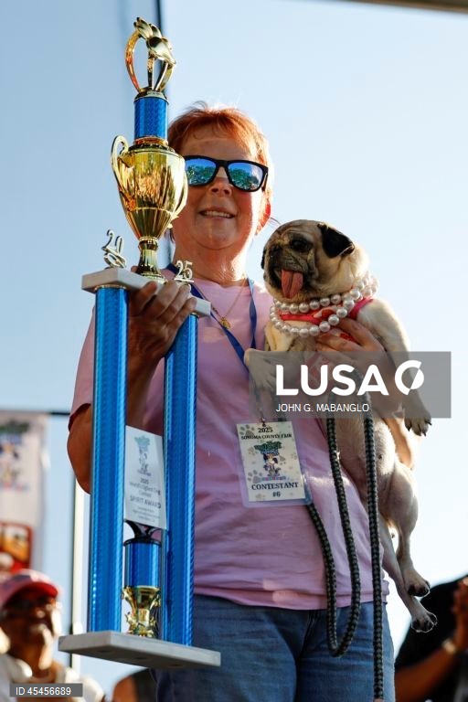 Concurso do cão mais feio do mundo realizado na Califórnia