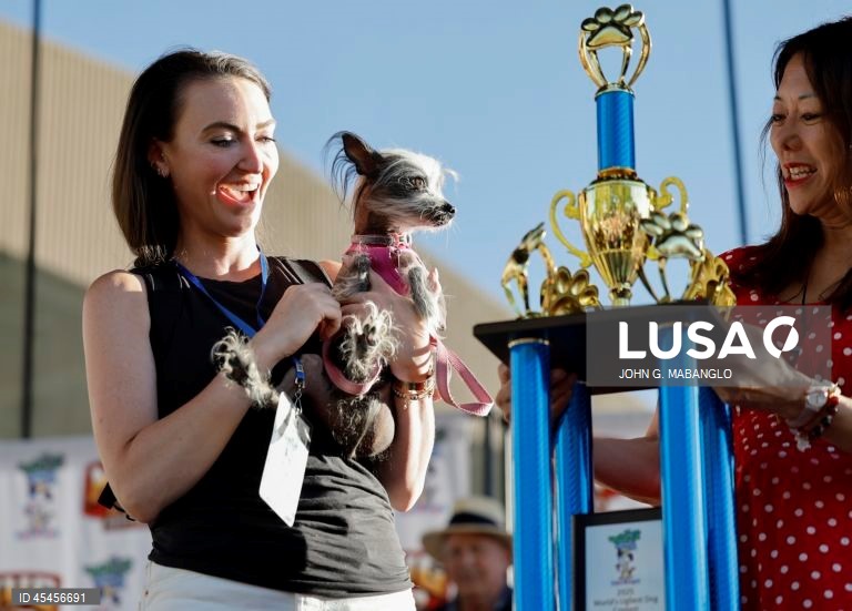 Concurso do cão mais feio do mundo realizado na Califórnia