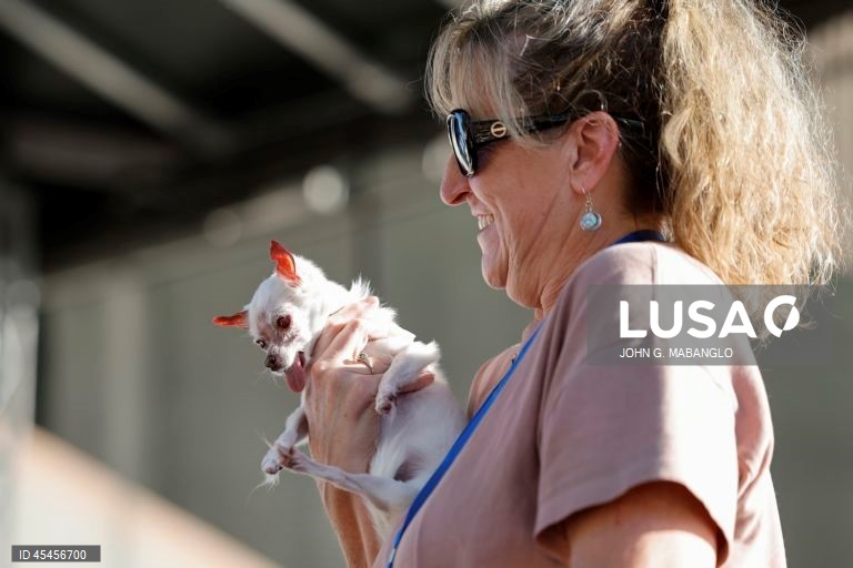 Concurso do cão mais feio do mundo realizado na Califórnia