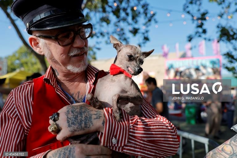 Concurso do cão mais feio do mundo realizado na Califórnia