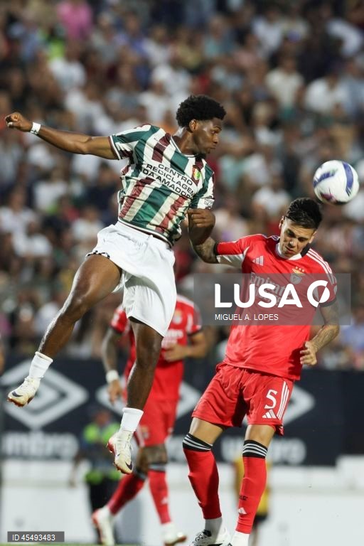 Estrela da Amadora vs Benfica
