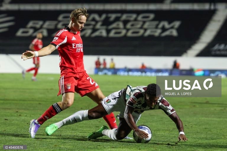Estrela da Amadora vs Benfica