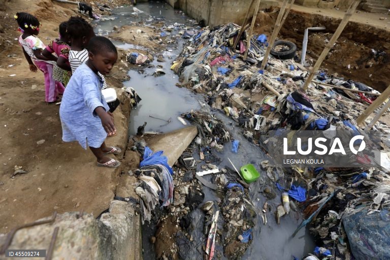 Dia Mundial do Mosquito