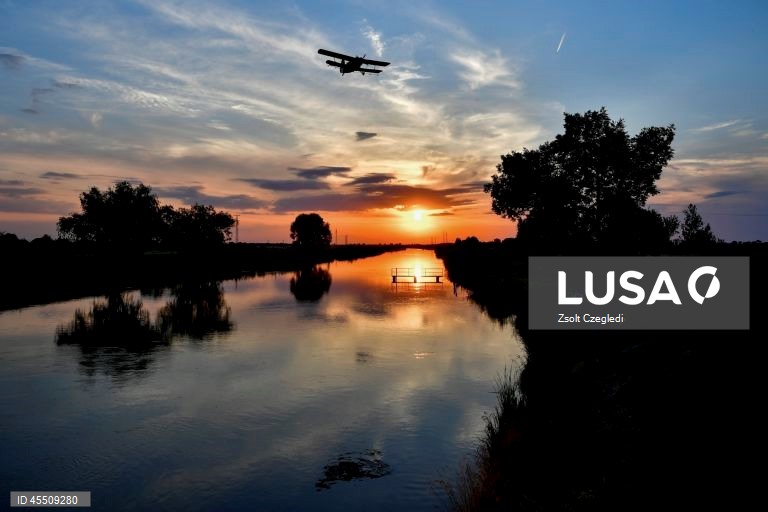 Dia Mundial do Mosquito