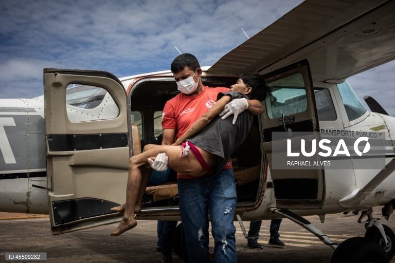 Dia Mundial do Mosquito