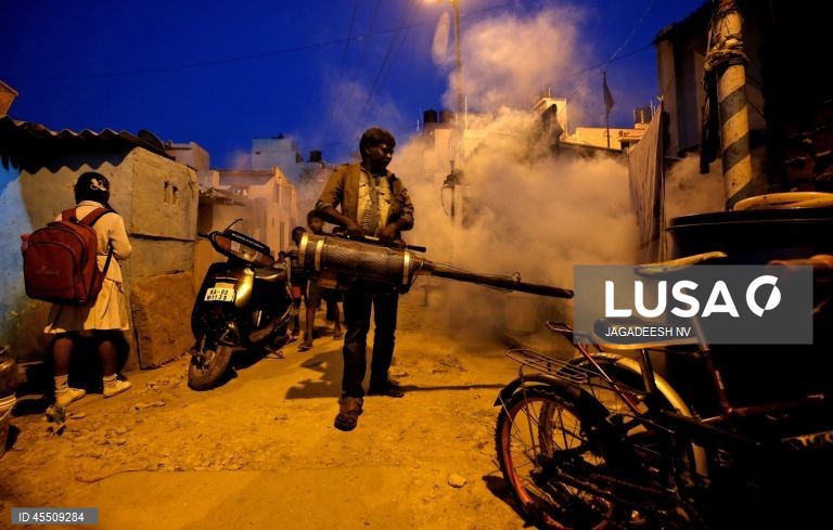 Dia Mundial do Mosquito