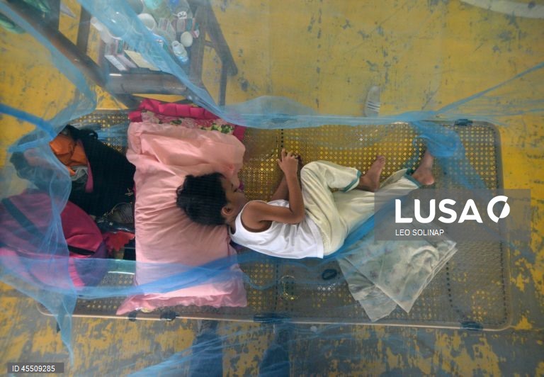 Dia Mundial do Mosquito