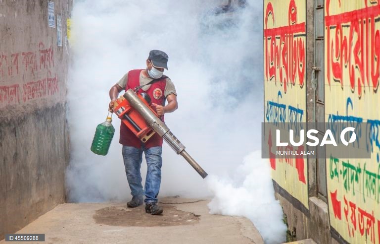 Dia Mundial do Mosquito