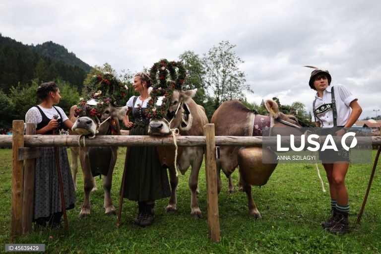 Alemanha: Festival tradicional alpino de «Viehscheid» em Bad Hindelang