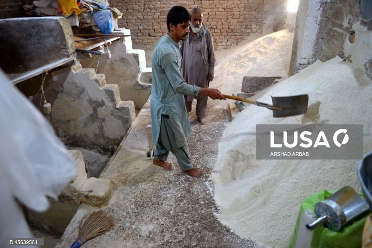 Paquistão: Comércio de trigo