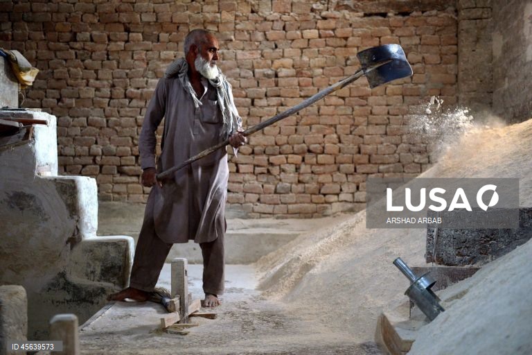 Paquistão: Comércio de trigo