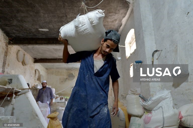 Paquistão: Comércio de trigo