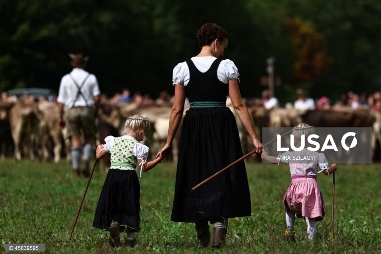 Alemanha: Festival tradicional alpino de «Viehscheid» em Bad Hindelang