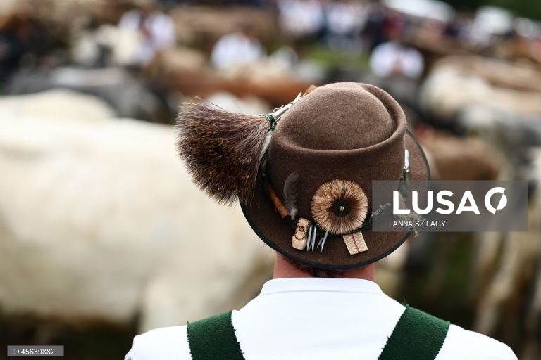 Alemanha: Festival tradicional alpino de «Viehscheid» em Bad Hindelang